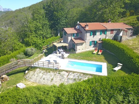 Garden, Outdoor, Pool