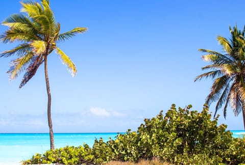 Sun loungers, beach towels