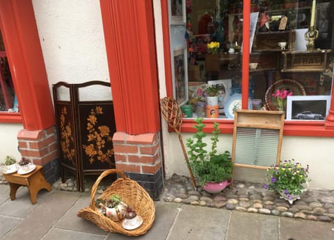 Shopping on Palace St