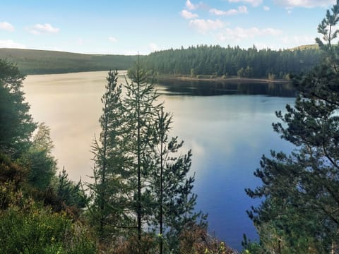 Surrounding area | St. Georges Cottage, Holmfirth