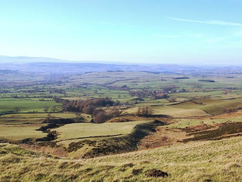 Lavender Cottage , Melmerby