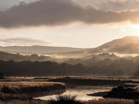 Early morning sun 500m away over the Ruel’s estuary at the head of the loch | Tigh-na-Creige, Colintraive