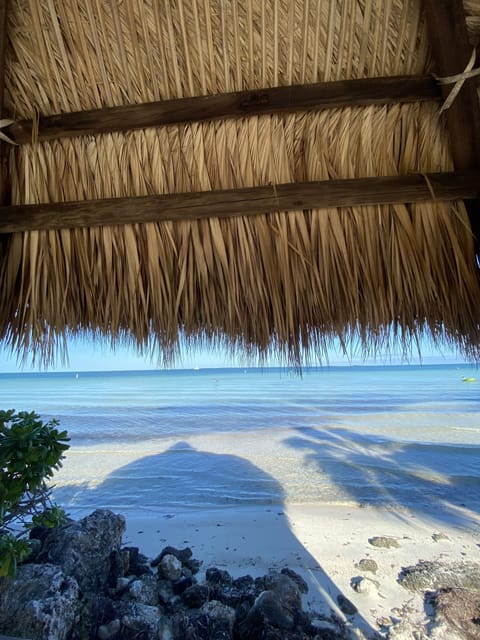 On the beach, sun loungers, beach towels