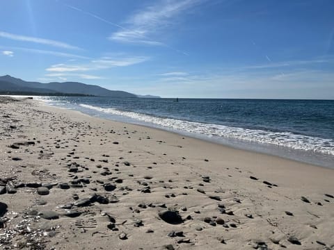 On the beach, sun loungers, beach towels