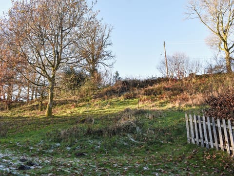 Surrounding area | Mill Dam Cottage, Coniston