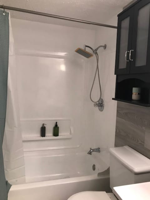 Combined shower/tub, hair dryer, towels, soap