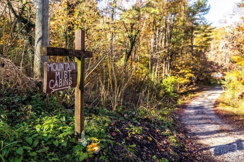 Look for the sign into Mountain Mist Cabins on your right!