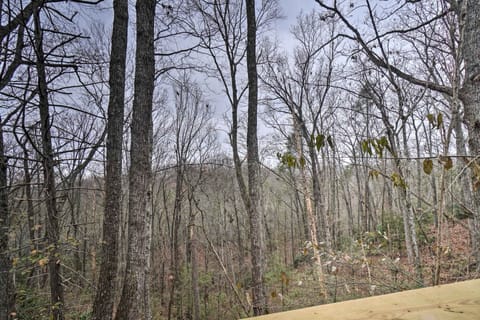 Forest Views from Cabin