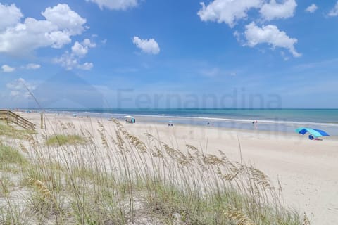 On the beach