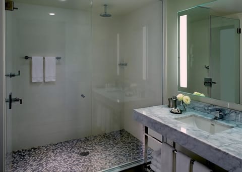 Combined shower/tub, hair dryer, towels