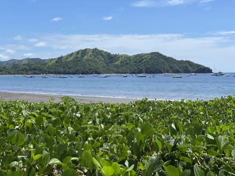 Beach nearby, sun loungers, beach towels