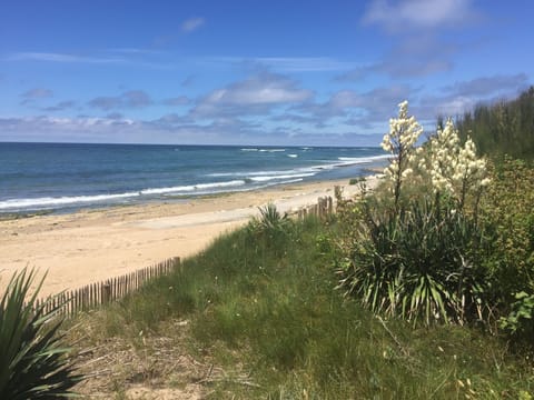 Beach nearby