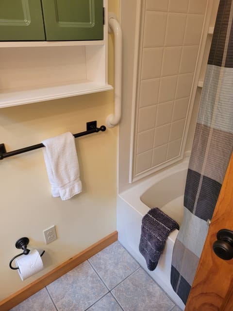 Combined shower/tub, hair dryer, towels