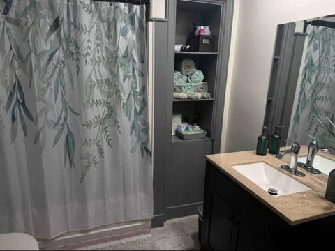 Combined shower/tub, hair dryer, towels, soap