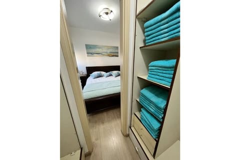 Perfect Main Bedroom Closet