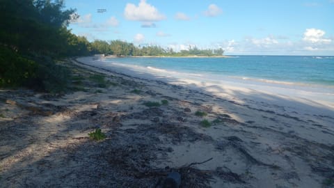 Beach nearby, sun loungers