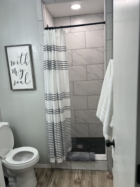 Master bathroom with newly remodeled shower 