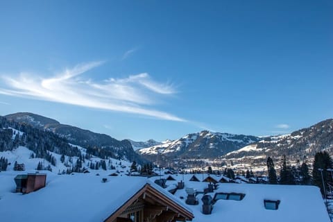 the snow covered town