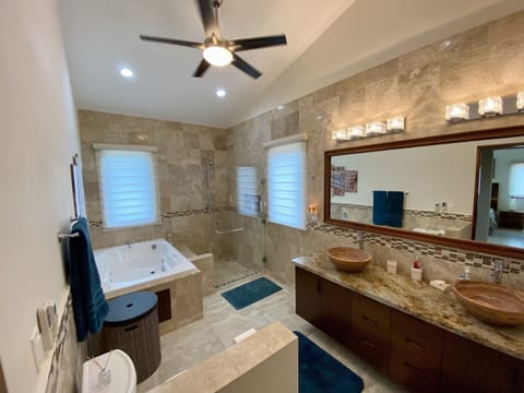 Shower, jetted tub, hair dryer, towels