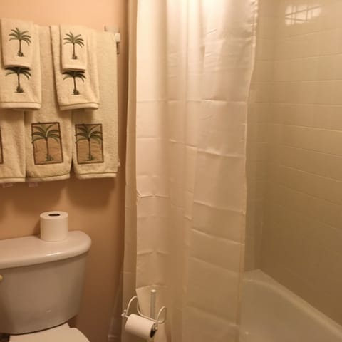 Combined shower/tub, towels