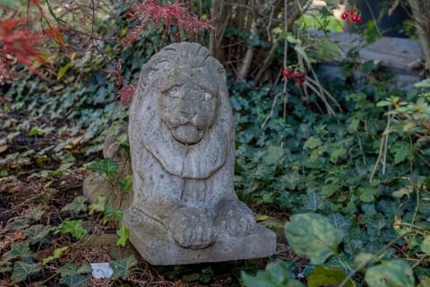 Leo the Lion hanging in the garden!