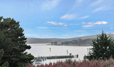 View from the front deck