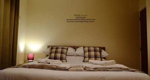 King bed or 2 single zip and links at Mid Wales Holiday Lets Old Drapers Apartment