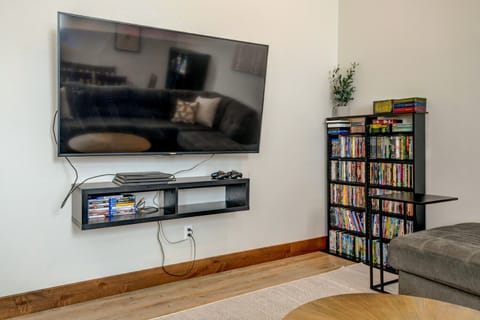 TV, fireplace, video games, books