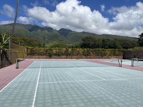 Sport court