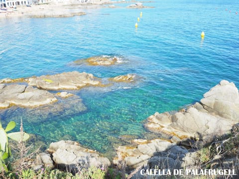 Beach nearby, sun loungers