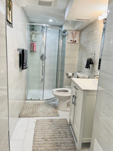 Combined shower/tub, hair dryer, bidet, towels