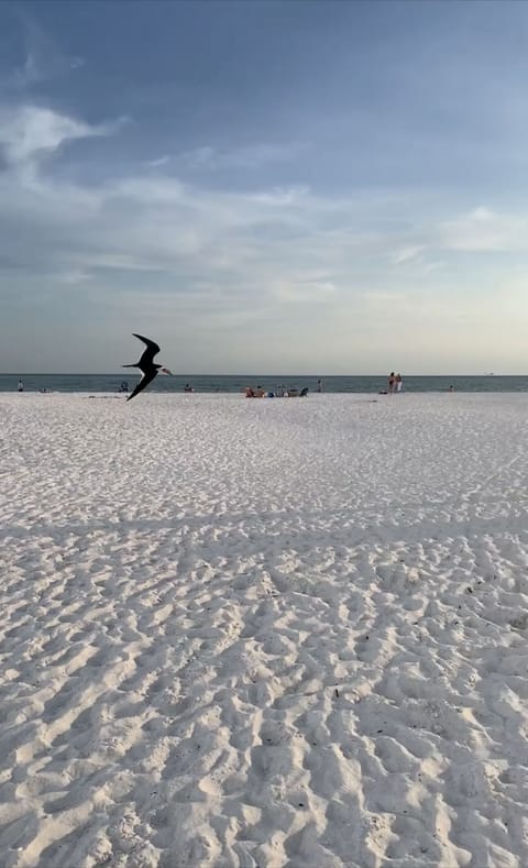 Beach towels