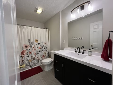 Combined shower/tub, hair dryer, towels, soap