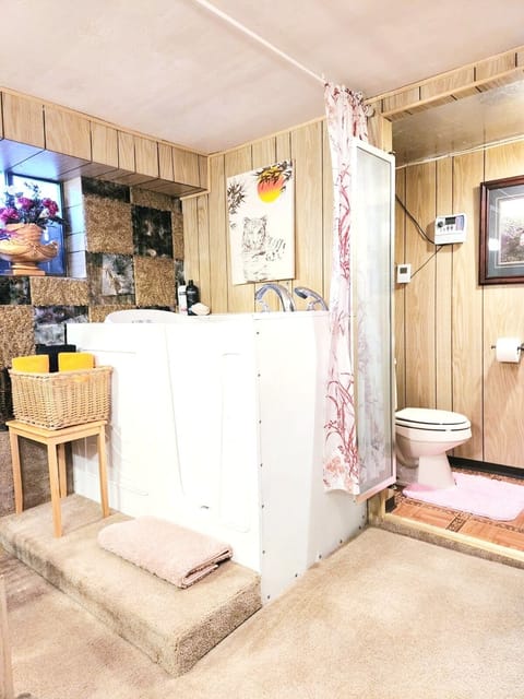 Shower, jetted tub, hair dryer, towels