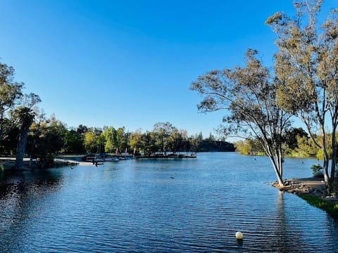 nearby Vasona Lake Park