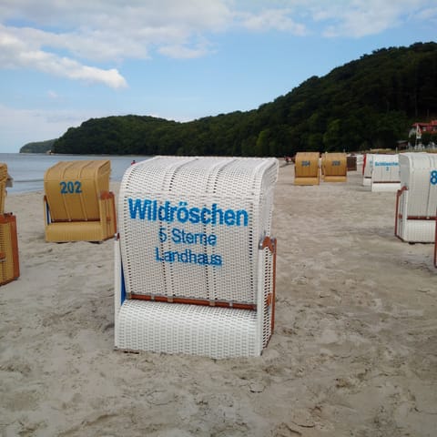 Beach nearby, sun loungers