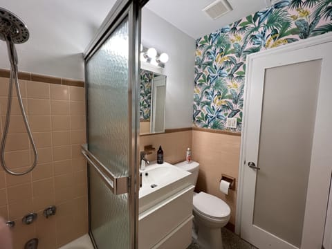 Combined shower/tub, hair dryer, towels, soap