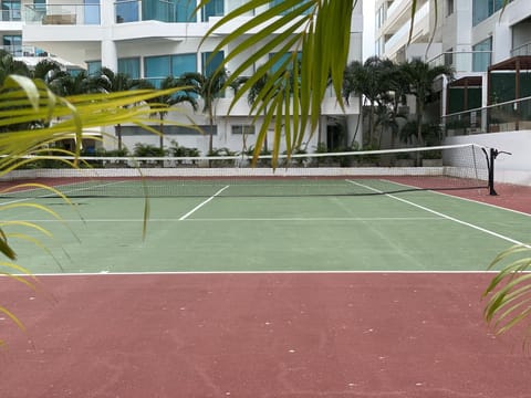 Sport court