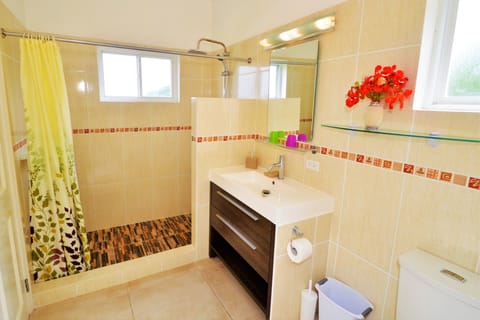 Combined shower/tub, hair dryer, towels, soap