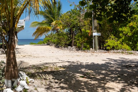 Sun loungers, beach towels