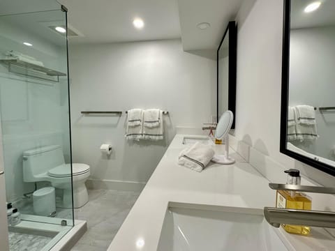 Downstairs - Master Bathroom.