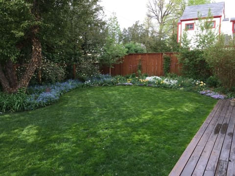 Beautiful backyard and landscaping