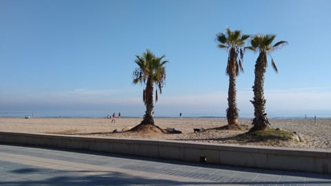 Sun loungers, beach towels