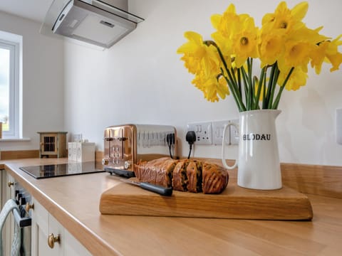 Kitchen area | Gelli Villa, Hebron, near Narberth