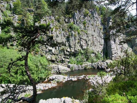 Region [summer] (>5 km)