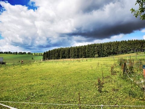 View from Holiday Home [summer]