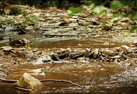 Surroundings [summer] (1-5 km)