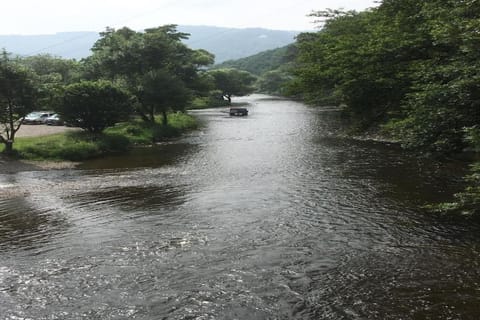 Region [summer] (>5 km)