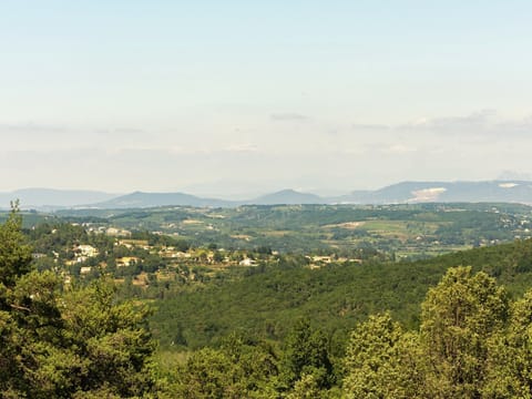 Region [summer] (>5 km)