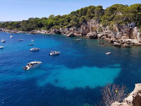 Region [summer] (>5 km)